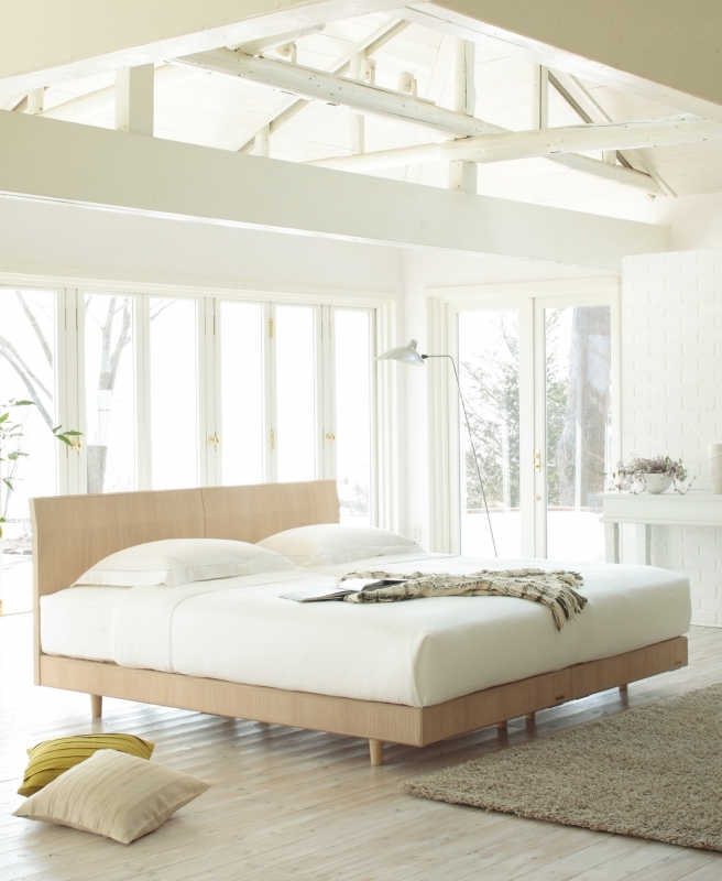 ライフトリートメントアレス　ツインベッド